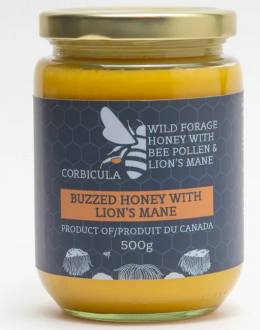 CORBICULA Buzzed Honey with Lion's Mane - 1 Case (6 × 500g)