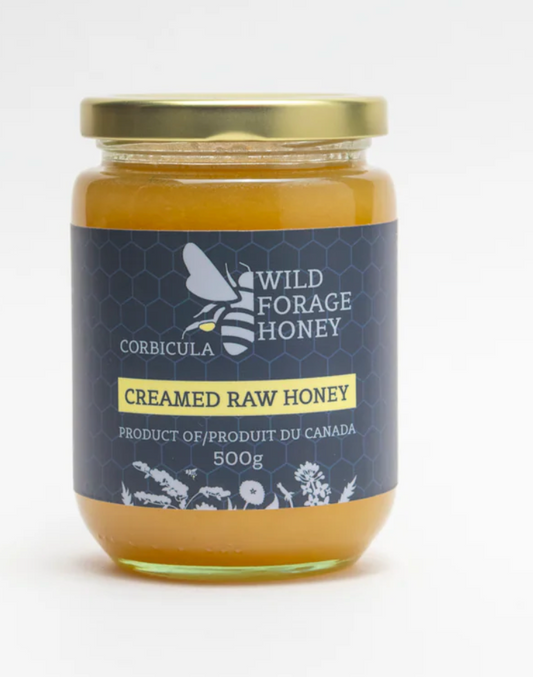 CORBICULA Creamed Raw Honey - 1 Case (6 × 500g)