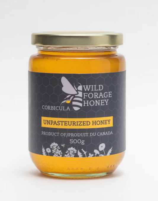 🍯✨ CORBICULA Unpasteurized Honey 🌿🐝 | 1 Case (6 × 500g)